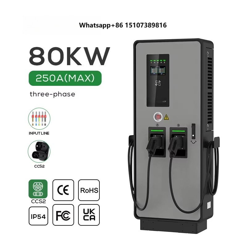Ev Charging Pile - Çift DC EV Şarj Cihazı 40kw